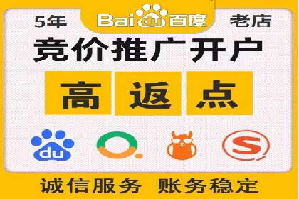 SEM搜索引擎优化策略解析与应用案例